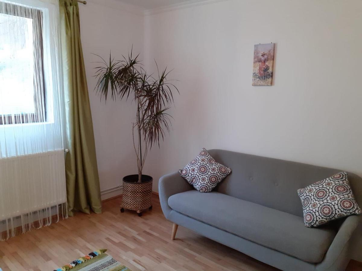 Appartement R-House à Braşov Extérieur photo